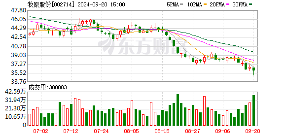 股票操盘手下载 股票 “二师兄”又牛了 三大猪企公告 同环比均大增