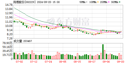 配资股票配资如何 逾十亿算力大单遇阻，鸿博股份早盘一字跌停 算力租赁故事该如何持续？