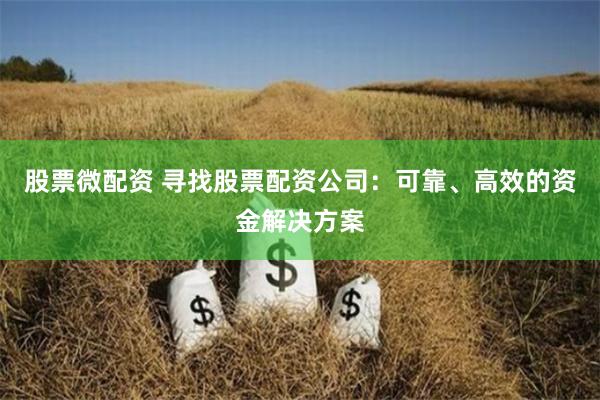 股票微配资 寻找股票配资公司：可靠、高效的资金解决方案