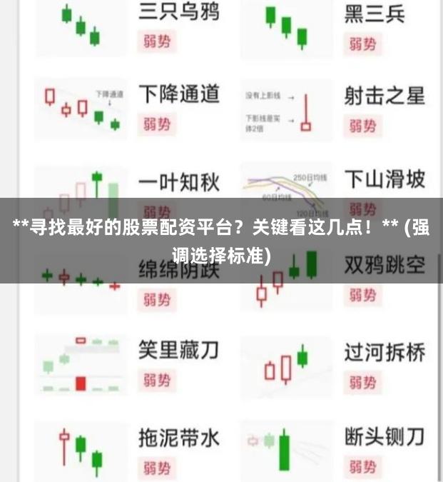 **寻找最好的股票配资平台？关键看这几点！** (强调选择标准)