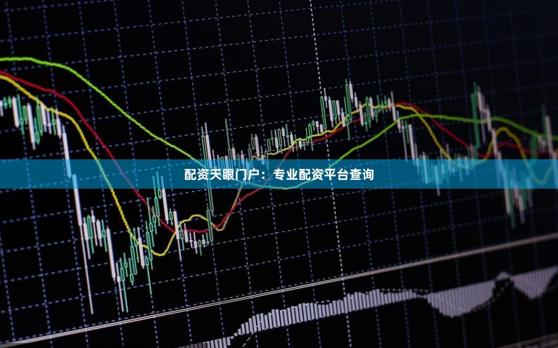 配资天眼门户：专业配资平台查询